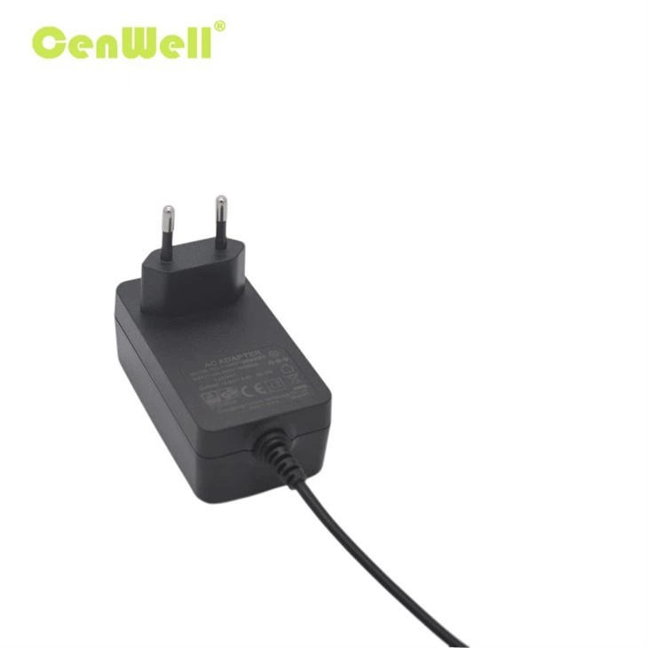 48W Wall Power Adapter With CE Certification factory