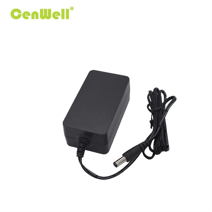 OEM 48W 12V 24V Desktop Power Adapter
